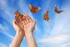 hands_releasing_butterflies_2.jpg